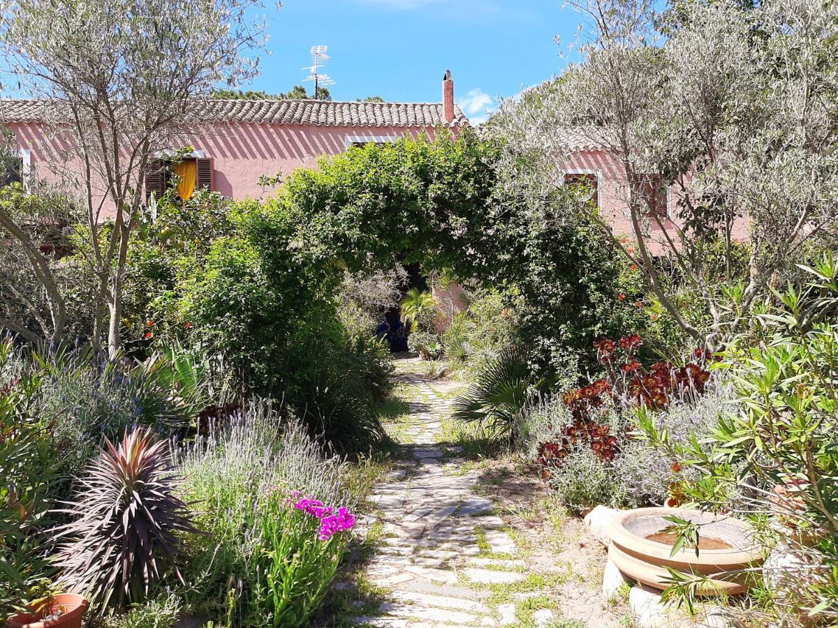 فيلا La Fattoria Delle Tartarughe San Gregorio  المظهر الخارجي الصورة