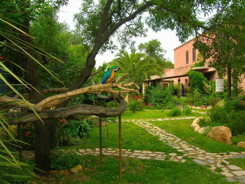 فيلا La Fattoria Delle Tartarughe San Gregorio  المظهر الخارجي الصورة