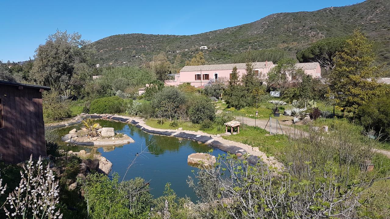 فيلا La Fattoria Delle Tartarughe San Gregorio  المظهر الخارجي الصورة